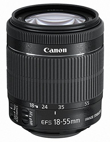 Canon EF-S 18-55mm f/3.5-5.6 IS STM Zoom Lens (Renewed)