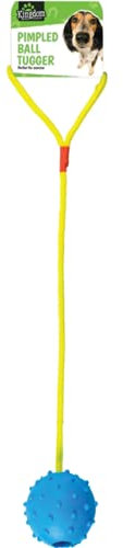 Kingdom Pimpled Ball Tugger Toy on Rope for Dogs (Blue)