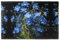 Juego de seis manteles individuales WZYWHJ prueba de aceite y aislantes del calor, un ramo de flores azules. Platos de comedor