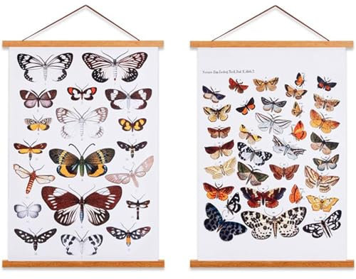 Ywlake A1 Posterleiste Posterschiene Posterleisten, Magnet Magnetische Holz Poster Aufhänger Halter Rahmen Leisten Bild Bilder Bilderrahmen Bilderleiste 61x91.5 60x80 (61cm, Teak, 2 Packungen)