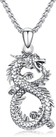 YEESIA Drachen Halskette für Herren 925er Sterlingsilber Gothic Halskette Unendlichkeits Drachen Anhänger Ewiger Schmuck Gothic Schmuck Prime Geschenke für Männer Frauen