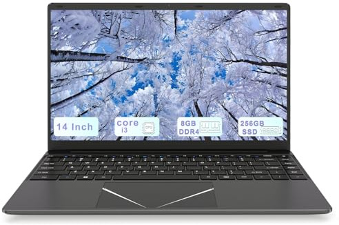 DREAMFYRE 14 Inch laptops 8GB RAM 16GB SSD,Mini Laptop Core i3 1920 * 1080p Screen, Support 2.4G/5G Dual Band WiFi, Bluetooth, USB*2, HDMI, SD Card Expansion.