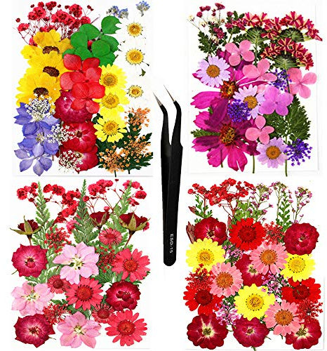 N+A Huimai 114 Stück Getrocknete Blumen Natürliche Trockenblumen für Epoxidharz, DIY Kerzen, Anhänger, Fotorahmen, Bath Bombs