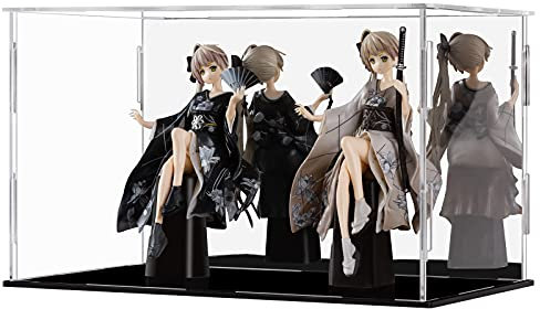 CECOLIC Acryl Vitrine, Klarer Display Box mit Spiegelmontage Arbeitsplatten Würfel für Sammlerstücke, Action Figuren, Miniaturfiguren, Aufbewahrung und Organisation (Schwarz, 25 x 15 x 15 cm)