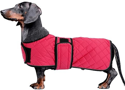 MOREZI Hundemantel Winter für Dackel - Wasserdichter Hunde Pullover mit Wolle Futter & Verstellbaren Gurten, Warmer Wintermantel für Kleine Hunde im Freien-Pink-XS