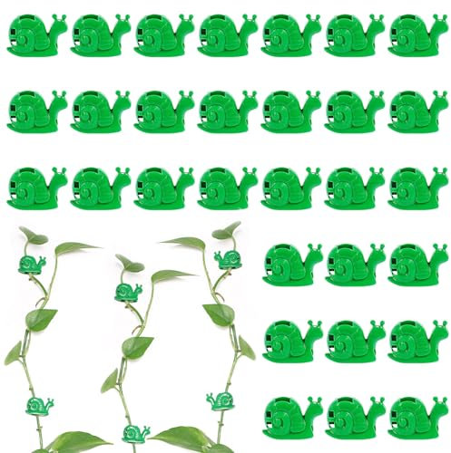 Lot de 100 clips muraux pour plantes grimpantes - Pour plantes grimpantes - Support mural pour plantes d'intérieur - Petit mur de plantes grimpantes - Support pour plantes d'intérieur (D)