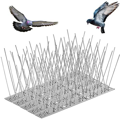RUPECA Pack 10 Pinchos Antipaloma 3,3M - Ahuyentador Palomas - Material Acero Inoxidable Duradero (3,3)