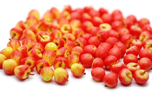 20 Mix Rot Fuji Apfel Obst Garten Display Minimal Dekoration 0,7 cm