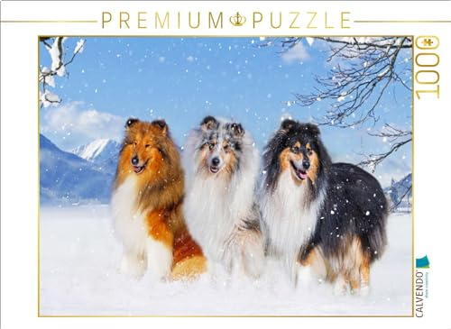 CALVENDO Puzzle DREI Collie-Prachtrüden | 1000 Teile Lege-Größe 64 x 48 cm Foto-Puzzle für glückliche Stunden