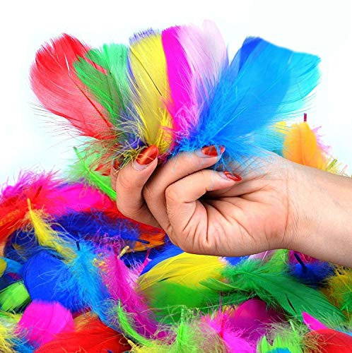 SUNRIZ Bunte Federn, 300 Stück Bunte Natürliche Feder Naturfedern für DIY Handwerk, Art Design, Basteln Karneval Rosen Montag Halloween Fest Versch