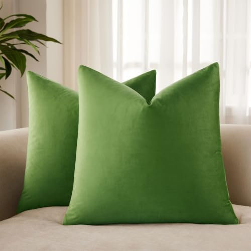JUSPURBET Apfelgrün Samt-Kissenbezüge 60cmx60cm 2er-Set für Wohnzimmer Couch Sofa Schlafzimmer Dekorative Quadratische Feste Weiche Kissenhüllen mit unsichtbarem Reißverschluss