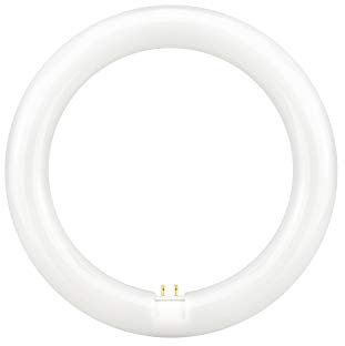 Tubo fluorescente LED T9 18W diametro 30cm con Imán blanco anillo circular Luz neutra 4000K (18W 30CM, 4000K)