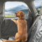 Tapizado Oversized Car Door Protector for Dogs with Anti-Scratch PU Leather, 2 Pack Pet Vehicle Door Cover with Adjustable Suction Cup, Waterproof Dog Car Door Cover, Fit All SUVs, Trucks