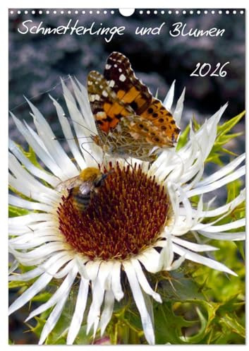 Schmetterlilnge und Blumen (Wandkalender 2026 DIN A3 hoch), CALVENDO Monatskalender: Unsere heimischen Schmetterlinge (CALVENDO Natur)