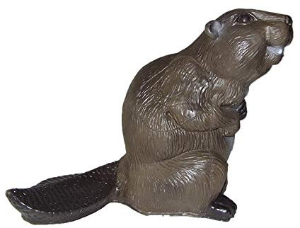 Franzbogen - Großer Biber; Ziel BZW. Zielscheibe für den Bogensport, Bogenschießen, Pfeil und Bogen, Armbrust Sport