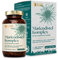Mariendistel Komplex Kapseln - 180 Kapseln hochdosiert/Mit 80% Silymarin (Mariendistelextrakt) & 2,5% Cynarin (Artischockenextrakt) / Vegan, Zertifiziert& Nachhaltig im Glas