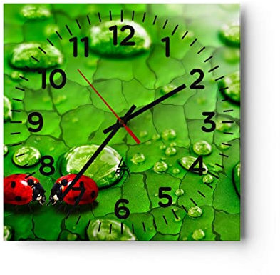 Modern Wanduhr Marienkäfer Gras Blatt Tropfen 40x40cm Quadrat Groß Wand Uhr Glas Analog Zimmeruhren Küche Büro Wohnzimmer Glasuhr Wall Clock Dekoration Design Wanddekoration Küchenuhr C4AC40x40-2363