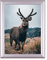 Rahmendesign24 Posterrahmen Fiona 70x100 Alu geschliffen Fotorahmen, Wechselrahmen, Bilderrahmen