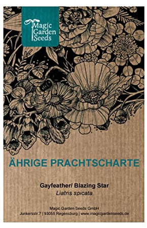 Ährige Prachtscharte (Liatris spicata) ca. 100 Samen der nordamerikanischen mehrjährigen Staude Schnittblume Trockenblume Heilpflanze
