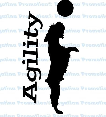 Rakelfix Icon Agility Typ 1 Hobby Aufkleber, ca.20 cm breite Hobbys Auto Autoaufkleber Sticker Heckscheibe Lack Vinyl Sport Sport