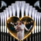 YeahBoom 36 Stück Leuchtwedel Hochzeit,Hochzeit Glasfaserlampe,Glasfaser Leuchtstab,Leuchtstab Kinder,Leuchtstab Leuchten im Dunkeln,LED Leuchtstäbe,Leuchtstäbe für Weihnachten,Party,Konzert,Hochzeit