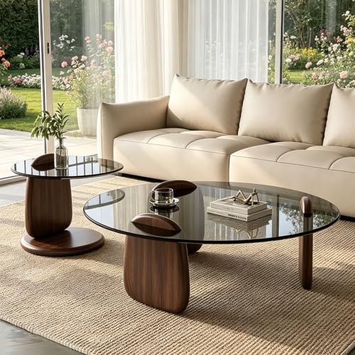 NEHCFO Table Basse Verre Fumé Bois Verre Lot de 2 Tables Basses Modernes pour Salon