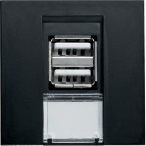 WS110N USB-Ladegerät mit 2 Anschlüssen, Schwarz, 3 x 4,5 x 4,5 cm (Referenz: Hager WS110N)