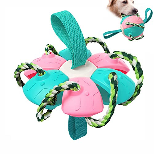 WQLP Frisbee Fußball Hundespielzeug Hundespielzeug Ball Hundewurfball Interaktives Frisbee Verschiedene Interaktive Hundespielzeuge