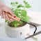 Tool Root Hook Bonsai 22×6×2 Sturdy Iron And Beech Bonsai Root Hook With Comfortable Wooden Handle Gardening Tools.--for small bonsai root hook and root rake pick handles bonsai root rake root ra