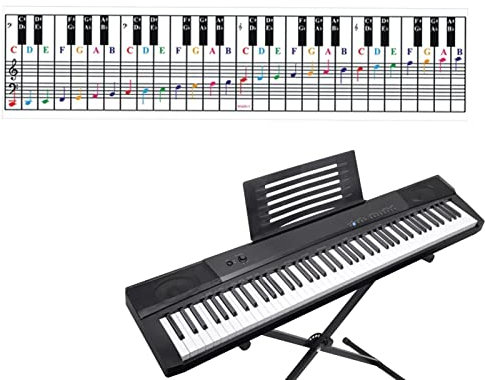 Piano Notes Chart | Removable Card for Piano Key Guide,Piano Key Guide Piano Learning Tool for Music Lessons, Piano Accessories for Beginners and Kids Pologmase