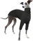 Rollkragenpullover Windhund, Warme Windhund Winter Kleidung Pullover Lurchers Jacke Hundepullover Mittelgroße Hunde Dog Sweatshirt(Grau, M)
