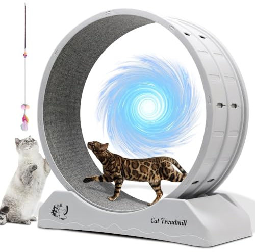 WUDLEP Katzen-Trainingsrad Katzenräder für Indoor-Katzen, Katzenlaufrad mit Teppichlaufbahn, Katzenlaufband Laufband Trainingsgerät für Kittys längeres Leben, Kunststoff-Katzenrad für Fitnessgewicht