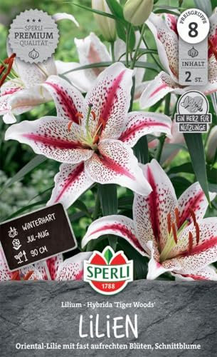 Sperli Lilie Tiger Woods 264739 - Mehrjährige Blumensamen für Schnittblumen mit einer Wuchshöhe von 90 cm und aufrechten Blüten - Blumenwiese, Saatgut