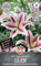 Sperli Lilie Tiger Woods 264739 - Mehrjährige Blumensamen für Schnittblumen mit einer Wuchshöhe von 90 cm und aufrechten Blüten - Blumenwiese, Saatgut