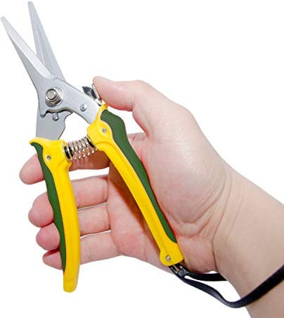 YONGZHAO Mehrzweck-Gartenschere Qualitäts Klauenschere Fuß Rot für Ziege Schafe HUF Trimmer Schaf HUF Trimmen Gezahnte Klinge für besseren Schneidegriff 20,3 cm Länge