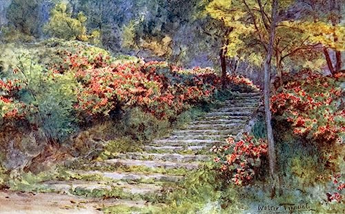 PTLYE Classic Painting Canvas Wall Art Oil Painting Azaleas by Walter Frederick Roofe Tyndale Poster Artworks for Hallway Decor 60x90cm