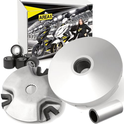 Ricambio Variomatik compatibile con Gulliver 50, Scarabeo 50 (compatibile con 2T)