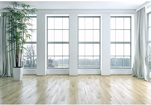 Renaiss 3x2.5m Französische Fenster Wohnzimmer Hintergrund Holzboden Leerer Raum Fotografie Hintergrund Pflanzen Moderne Inneneinrichtung Büroeinrichtung Videokonferenz Studio Requisiten
