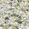 Premium Pebbles Steine für Pflanzen Grüne Jade Dekorative Polierte Kieselsteine 1/5 Zoll - 2,3 kg für Garten, Vasenfüller, Basteln, Sukkulenten, Töpfe, Pflanzen (Mini (0,2 Zoll), Grüne Jade - Poliert,