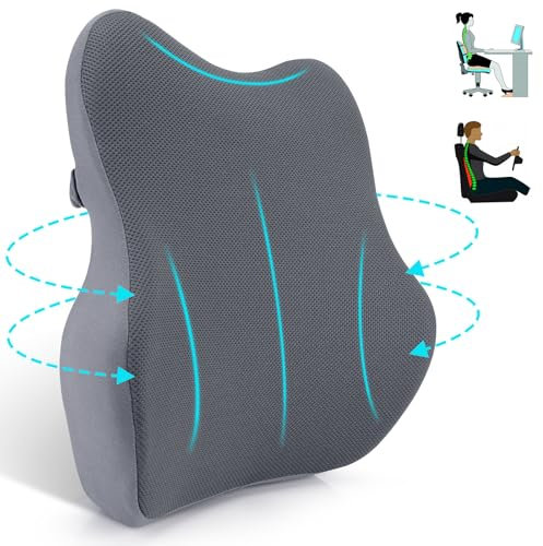 Farerkass Cojin Lumbar Ergonómico, Almohada Lumbar de Espuma Viscoelástica, Soporte Lumbar con Malla para Silla Oficina, Asiento Coche, Silla de Ruedas (Gris Claro)