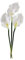 Deco Woerner Dekorative Kunstblumen-Bund-Calla bestehend aus DREI Callas 50 cm weiß