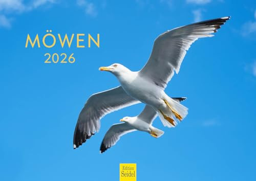 Edition Seidel Premium Kalender Möwen 2026 Format DIN A4 Wandkalender Tierkalender Vogel Vögel Wasservögel Wildvögel Wildtiere