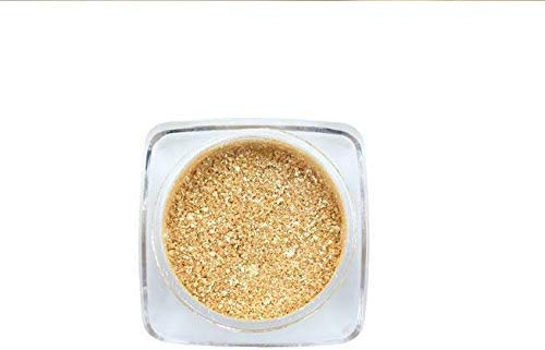 AQUAPURITY PHOERA® Pigment Eyeshadow Palette Metallic Shimmer Glitter Loose Powder Eye Shadow Makeup UK (301 CARNELIAN)