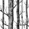 LQNB Papier Peint Arbre de Bouleau Blanc Noir pour Chambre à Coucher Design Moderne Salon Papier Peint Rouleau Papier Peint Bois ForêT Rustique