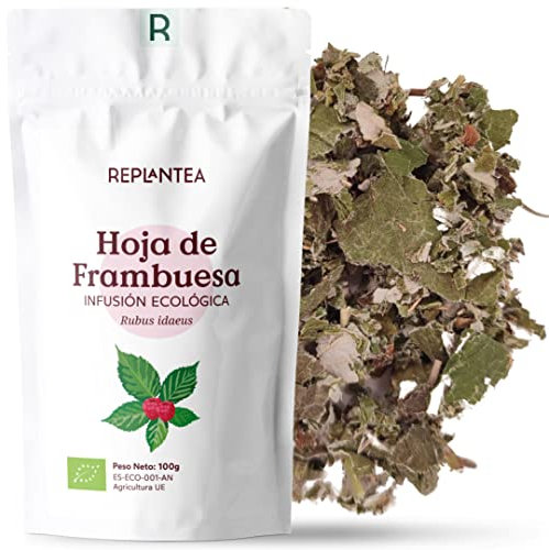 INFUSIÓN DE HOJA DE FRAMBUESA ECOLÓGICA (+50 Tazas) | Infusión Final del Embarazo | Té de Preparación al Nacimiento REPLANTEA®