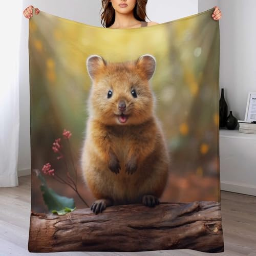 AAPZY Decke Quokka Decke Flauschige Decke Wohndecke Dicke Sofadecke Couchdecke Weiche Fleecedecke Flannel Sofaüberwurf Tagesdecke Für Bett/Sofa （130×150cm）