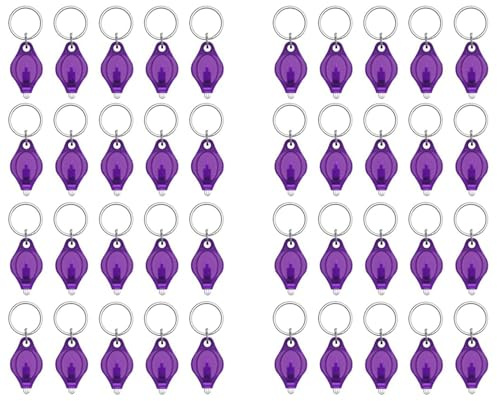 Tuesoa Mini UV LED Keychain Flashlight 10 Lumen Portable Light Detector Battery Powered Fluorescent Torch, 40 Pack