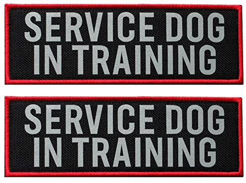 FITZNORA 2 Stück reflektierende Diensthund in Training Patch Set mit Klettverschluss bestickte Bordüre mit gedruckten Buchstaben Patch für Hundeweste Geschirr (11,9 x 3,8 cm)