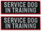 FITZNORA 2 Stück reflektierende Diensthund in Training Patch Set mit Klettverschluss bestickte Bordüre mit gedruckten Buchstaben Patch für Hundeweste Geschirr (11,9 x 3,8 cm)
