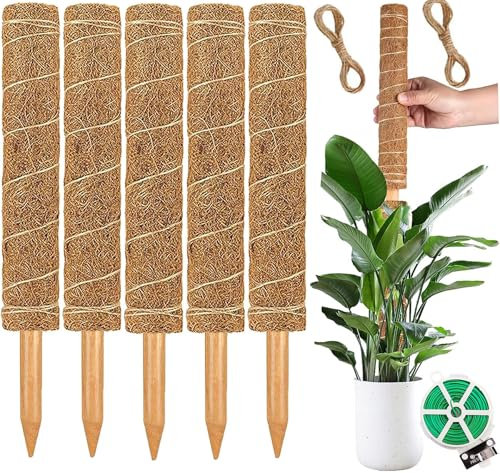 5 Pièces Tuteur Monstera, Tuteur en Mousse de 30 cm pour Plantes Grimpantes Monstera, Tuteur en Fibre de Coco pour Plantes en Pot, Tuteur Empilable pour Plantes Grimpantes d'intérieur, Lierre